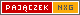 Paj±czek - polski edytor HTML, CSS, PHP, XTHML, JavaScript, RSS. Wbudowany FTP, galerie, wysiwyg, kursy!